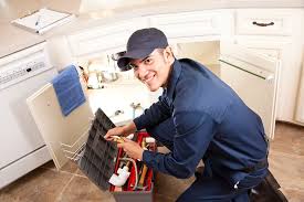 Best Gas Line Installation and Repair  in Imlay City, MI